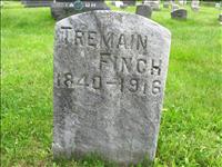 Finch, Tremain